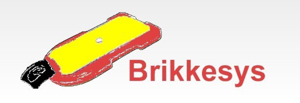 Kurs i Brikkesys